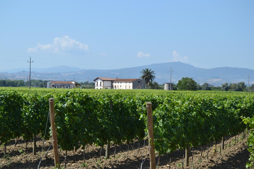 Agriturismo De Luca Mozzagrogna Eksteriør billede